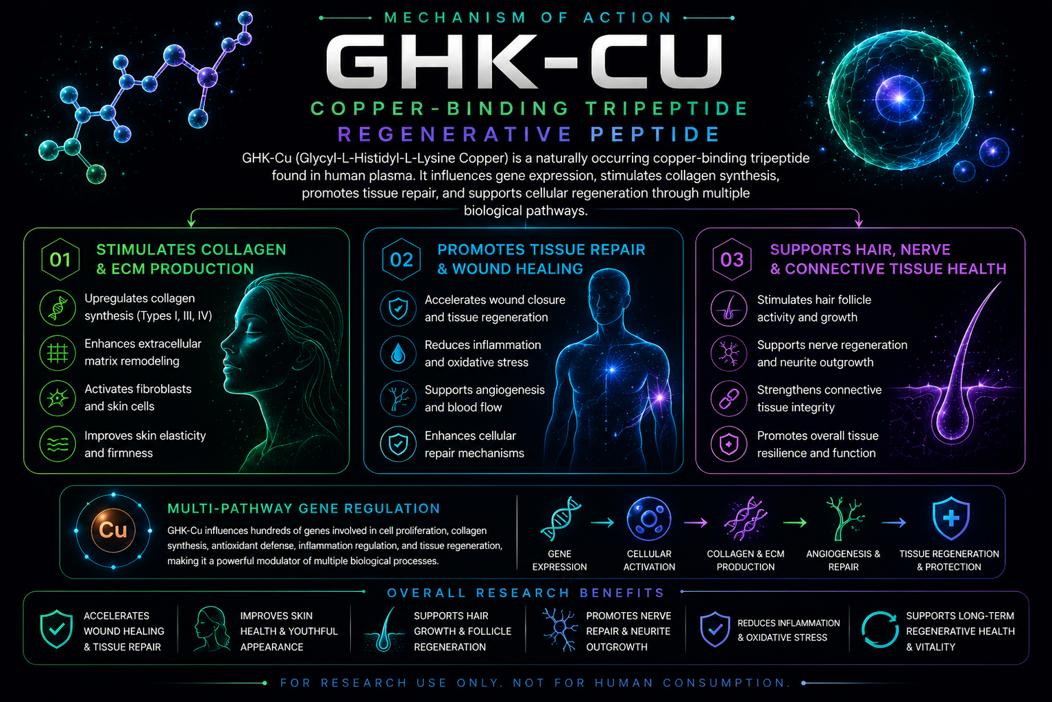 ghk-cu mechanism of action for hair growth scientific studies GHK-Cu for Hair Growth: Before