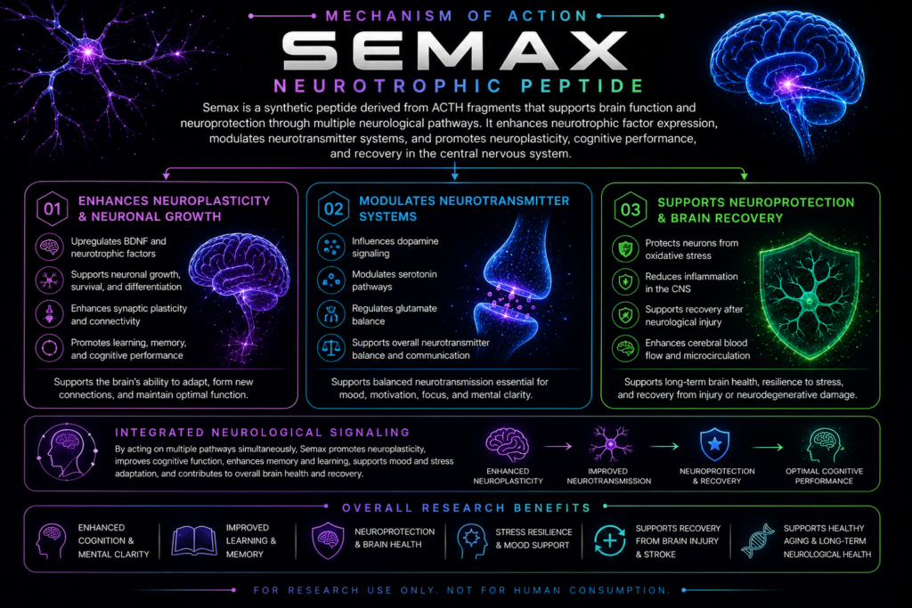 semax mechanism of action